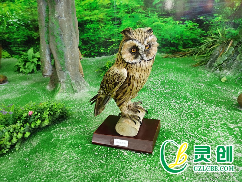 仿真長耳鸮標本